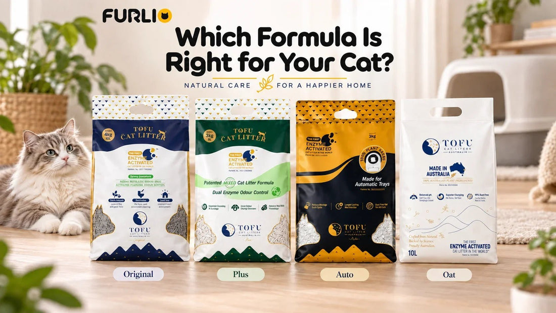 Which Tofu Cat Litter Australia Formula Is Right for Your Cat? - Furlio
