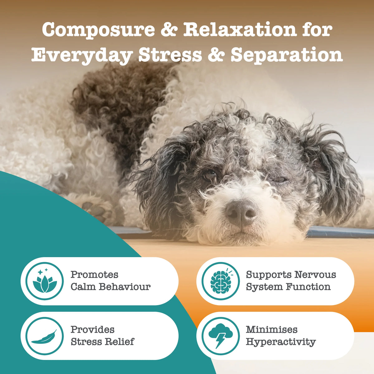 Zesty Paws  Calming Chews For Dogs
