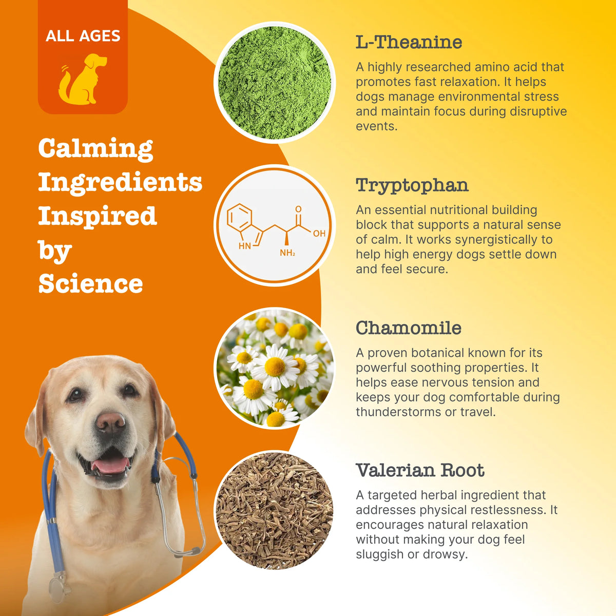 Zesty Paws  Calming Chews For Dogs