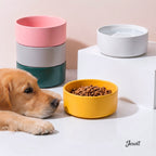 Jesoli Essential Matte Ceramic Pet Bowl – 850ml – 场景图_狗狗日常喂食