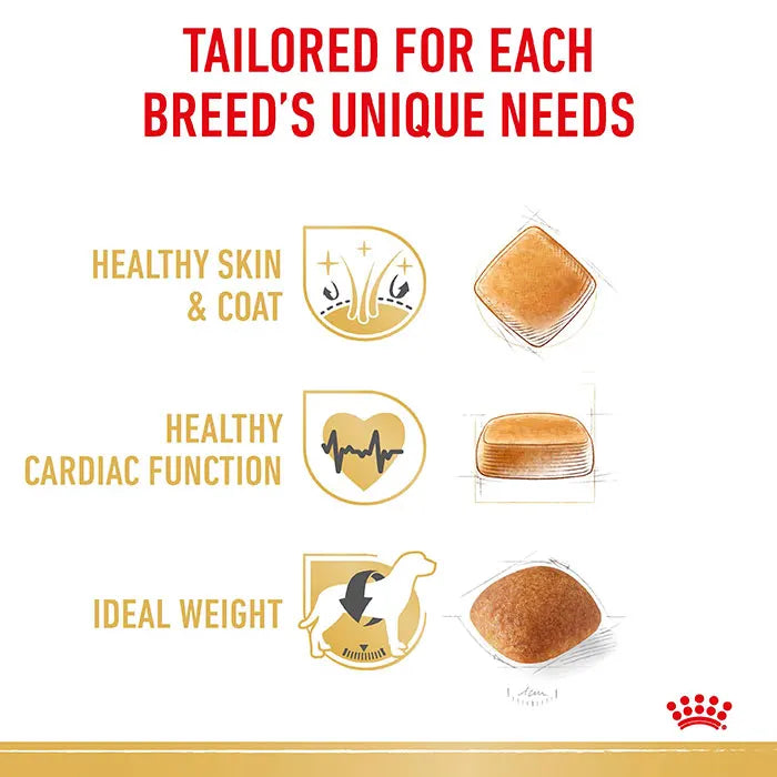 ROYAL CANIN Golden Retriever Dog Food