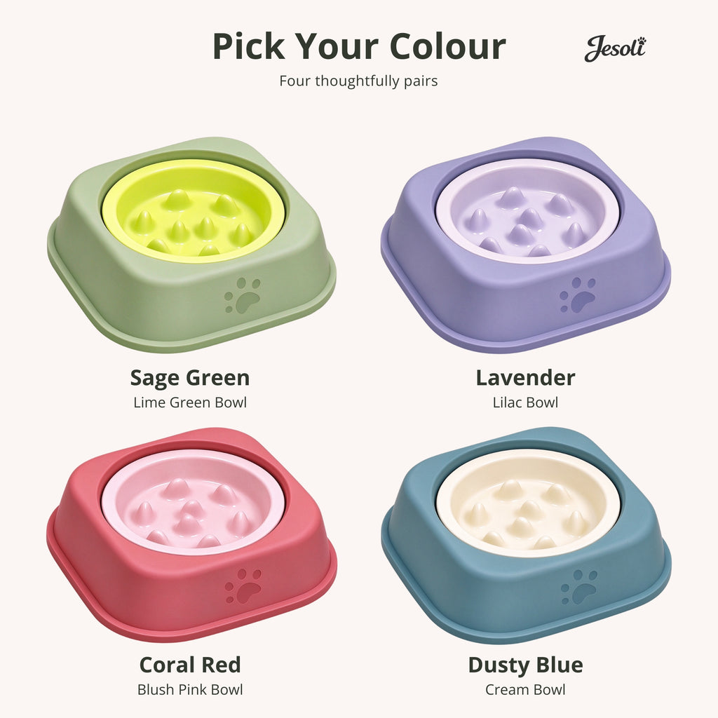 Jesoli Elevated Ceramic Slow Feeder Bowl – 350ml – 配色图_四色碗与底座组合