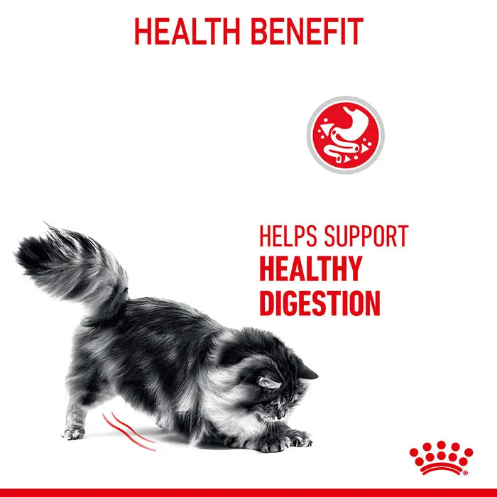 ROYAL CANIN Digestive Care Adult Cat Food