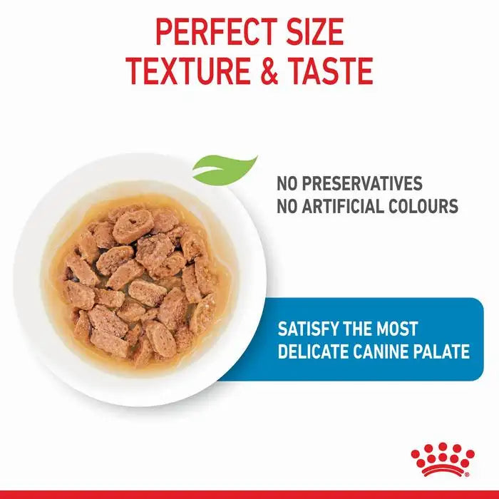 ROYAL CANIN  Mini Breed Puppy Pouch