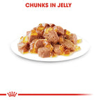 ROYAL CANIN Indoor Jelly Adult Cat Wet Food