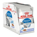 ROYAL CANIN Indoor Jelly Adult Cat Wet Food