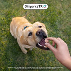 Simparica TRIO Yellow For Puppies (1.3-2.5kg) 3 Pack
