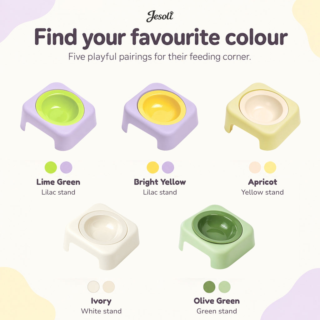 Jesoli Tilted Ceramic Pet Bowl with Stand – 180ml – 配色图_五款碗与底座组合