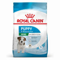ROYAL CANIN  MINI Puppy Small Dog