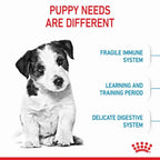 ROYAL CANIN  MINI Puppy Small Dog
