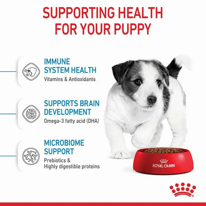 ROYAL CANIN  MINI Puppy Small Dog