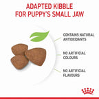 ROYAL CANIN  MINI Puppy Small Dog