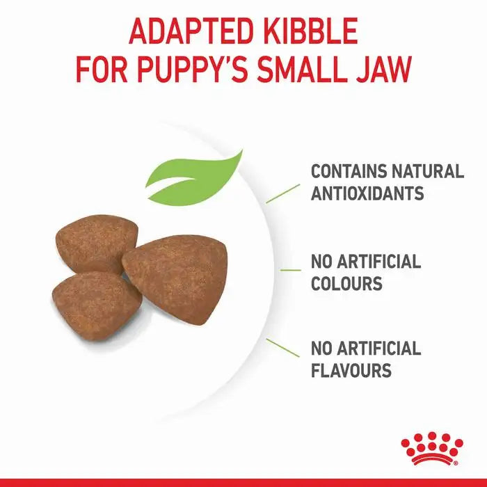 ROYAL CANIN  MINI Puppy Small Dog