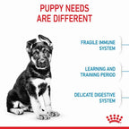 ROYAL CANIN Maxi Breed Puppy Food