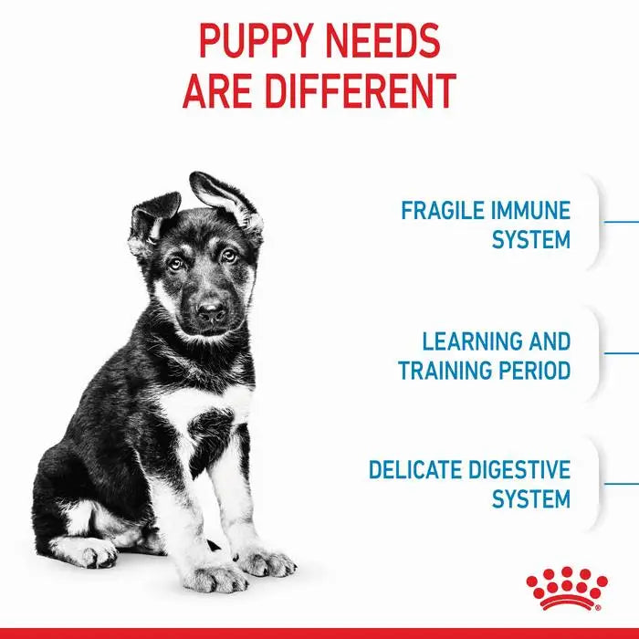 ROYAL CANIN Maxi Breed Puppy Food