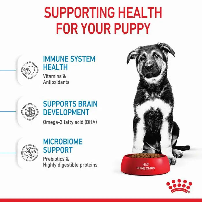 ROYAL CANIN Maxi Breed Puppy Food