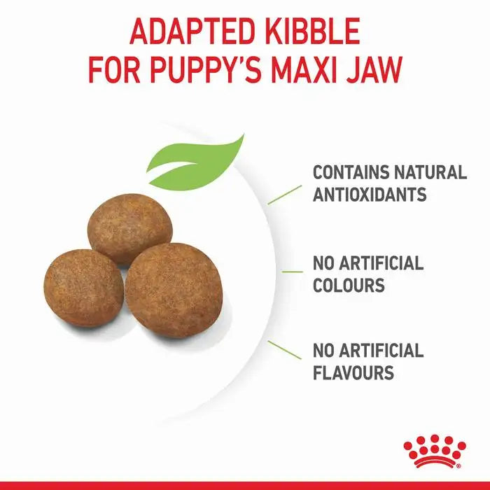ROYAL CANIN Maxi Breed Puppy Food