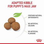 ROYAL CANIN Maxi Breed Puppy Food