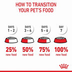 ROYAL CANIN Maxi Breed Puppy Food