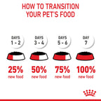 Royal Canin Wet Cat Food Kitten Loaf