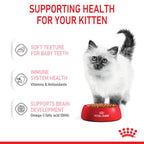 Royal Canin Wet Cat Food Kitten Loaf