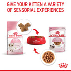 Royal Canin Wet Cat Food Kitten Loaf