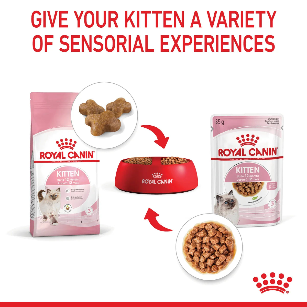 Royal Canin Wet Cat Food Kitten Loaf