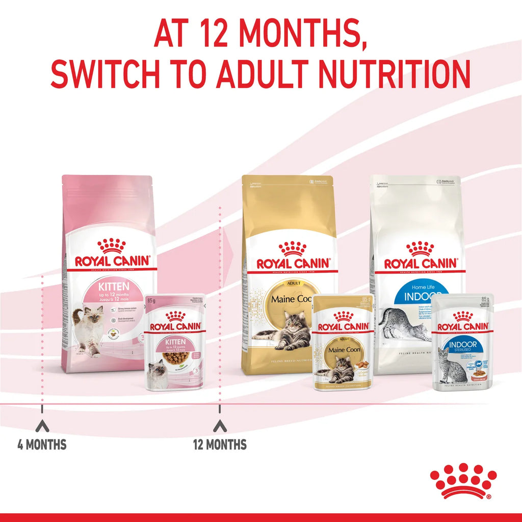 Royal Canin Wet Cat Food Kitten Loaf