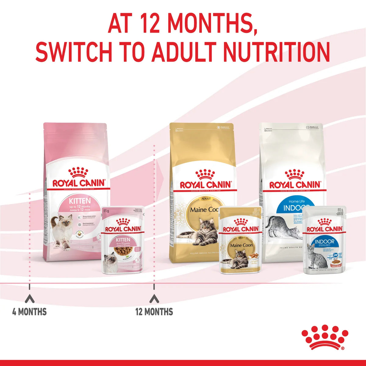 Royal Canin Wet Cat Food Kitten Loaf