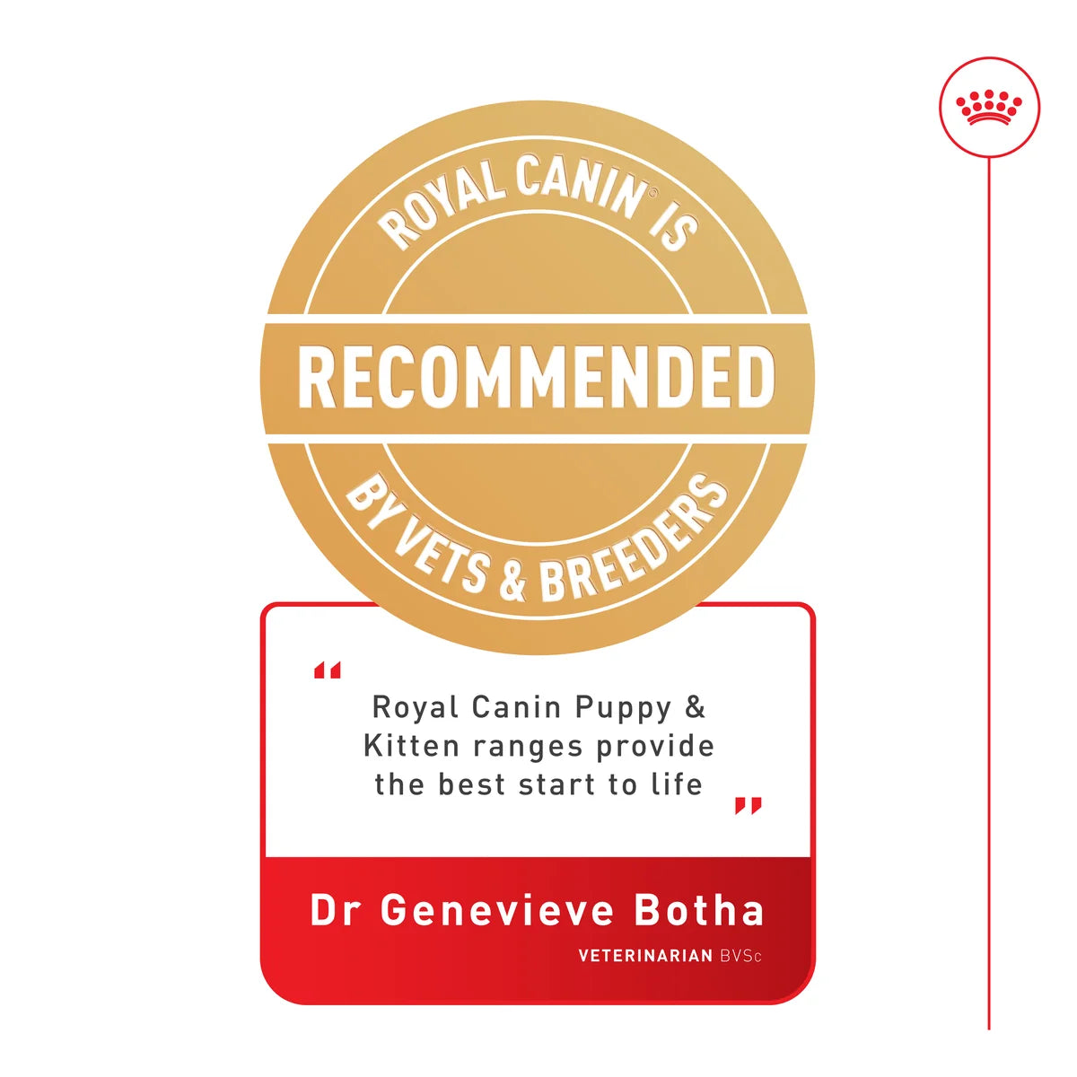 Royal Canin Wet Cat Food Kitten Loaf