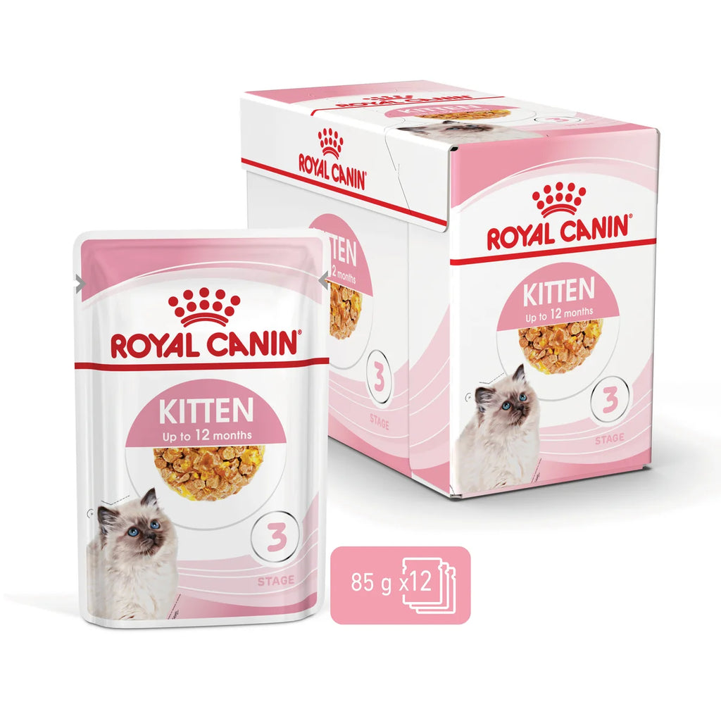 Royal Canin Wet Cat Food Kitten Jelly