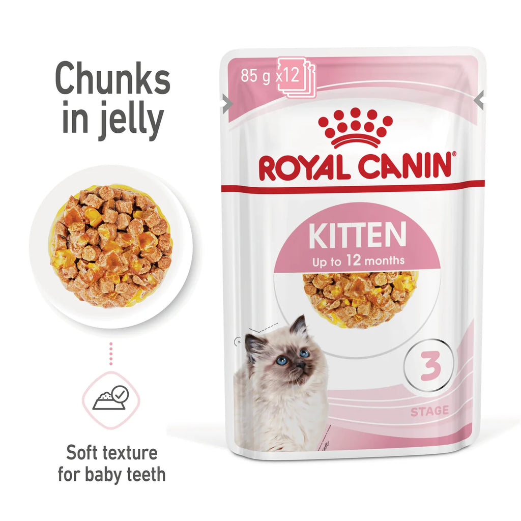 Royal Canin Wet Cat Food Kitten Jelly