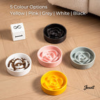 Jesoli Petal Maze Ceramic Slow Feeder Bowl – 配色场景图_五色平铺展示