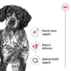 ROYAL CANIN Medium Breed Adult Dog Dry Food