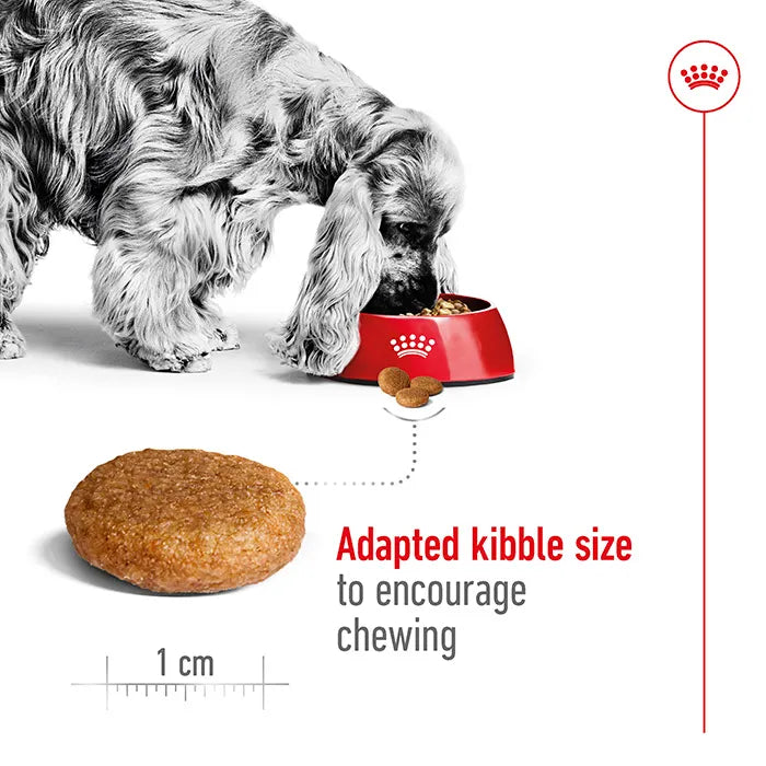ROYAL CANIN Medium Breed Adult Dog Dry Food