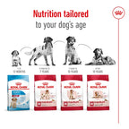 ROYAL CANIN Medium Breed Adult Dog Dry Food