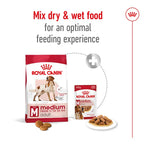ROYAL CANIN Medium Breed Adult Dog Dry Food
