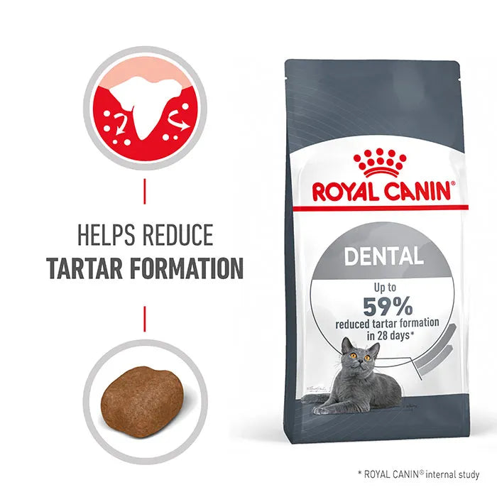 ROYAL CANIN Dental Care Adult Cat Food