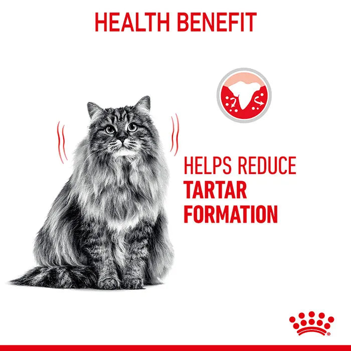 ROYAL CANIN Dental Care Adult Cat Food