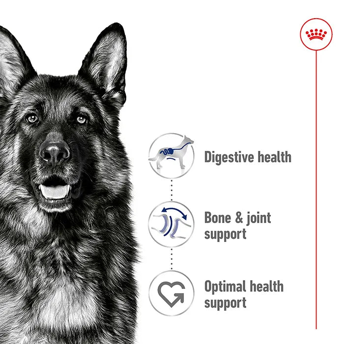 ROYAL CANIN Maxi Breed Adult Dog Food
