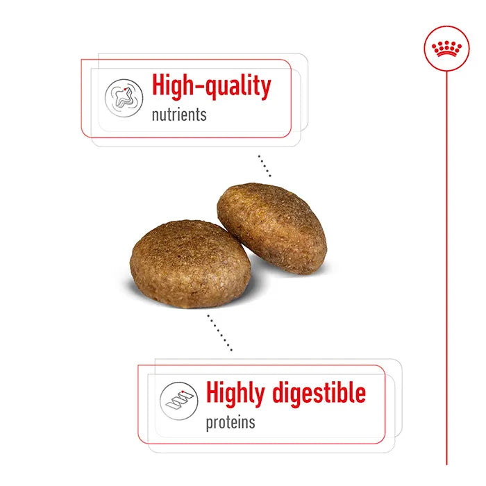 ROYAL CANIN Maxi Breed Adult Dog Food