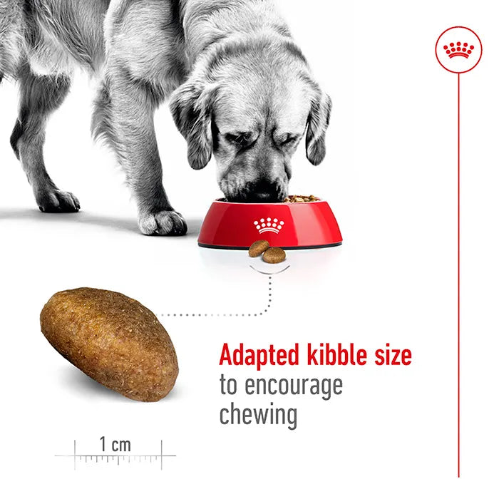 ROYAL CANIN Maxi Breed Adult Dog Food