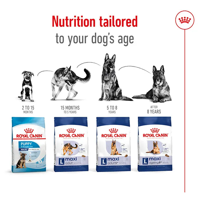 ROYAL CANIN Maxi Breed Adult Dog Food