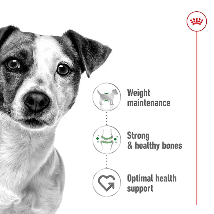 ROYAL CANIN Mini Adult Dog Food