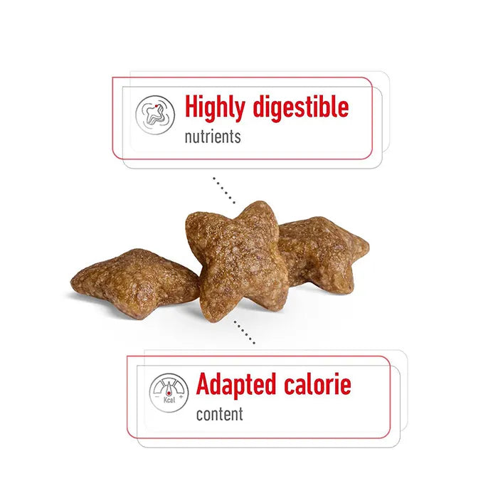 ROYAL CANIN Mini Adult Dog Food