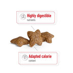 ROYAL CANIN Mini Adult Dog Food