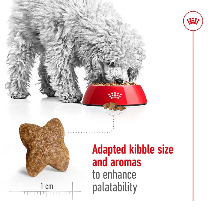ROYAL CANIN Mini Adult Dog Food