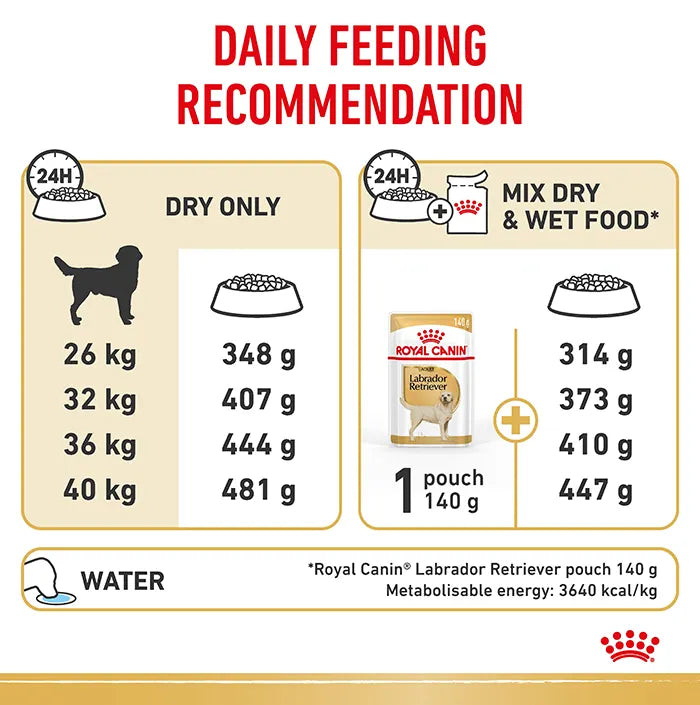 ROYAL CANIN Labrador Dog Food