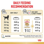 ROYAL CANIN Labrador Dog Food