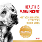 ROYAL CANIN Labrador Dog Food